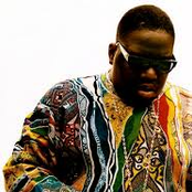 The notorious big