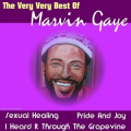 Marvin Gaye