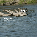 yngluv