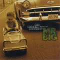 Mr. Big