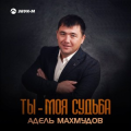 Адель Махмудов