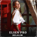 Elsen Pro