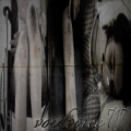 Voidvoice717