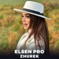 Elsen Pro