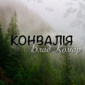 Влад Комар