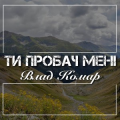 Влад Комар