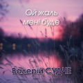 Валерій Судче