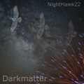 Nighthawk22