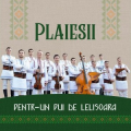 Plaiesii