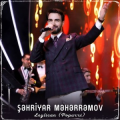 Şəhriyar Məhərrəmov