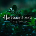 Влад Комар