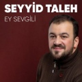 Seyyid Taleh Boradigahi