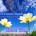 Инна Шам