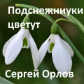 Сергей Орлов