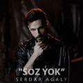 Serdar Agaly