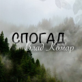 Влад Комар