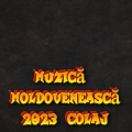 Muzica Moldoveneasca