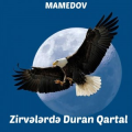 mamedov