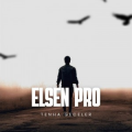 Elsen Pro