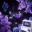 3ternity - Фитиль