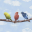 Timmy j - Па ра пау