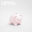 Iowa - Свинка копилка