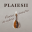 Plaiesii