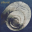 Snail mail - Tractor beam